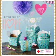 Rice DK Little Box of Hope Food Box & Spoons